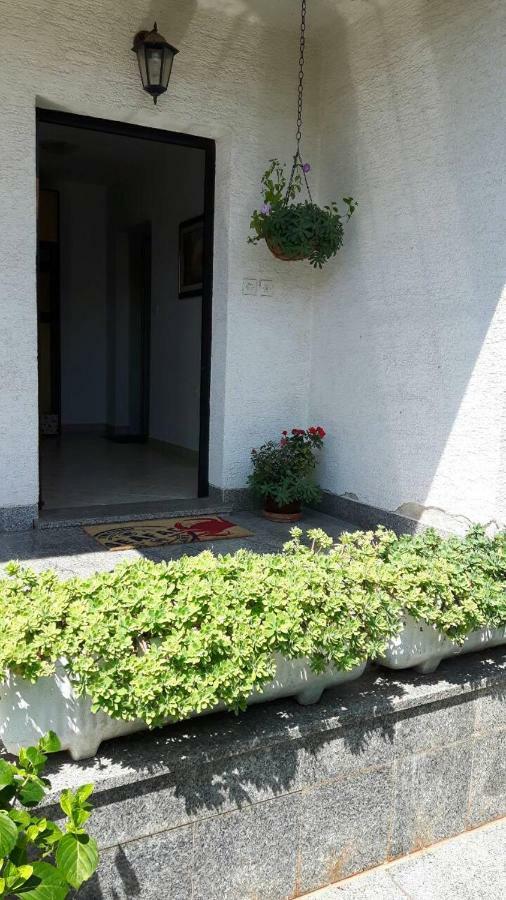 Apartamento App Bajic Umag Exterior foto